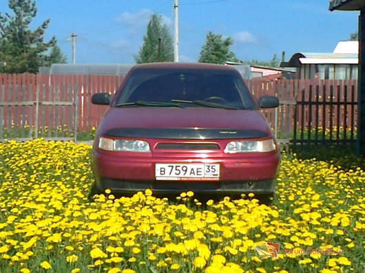 Фото наших автомобилей | Фотогалерея